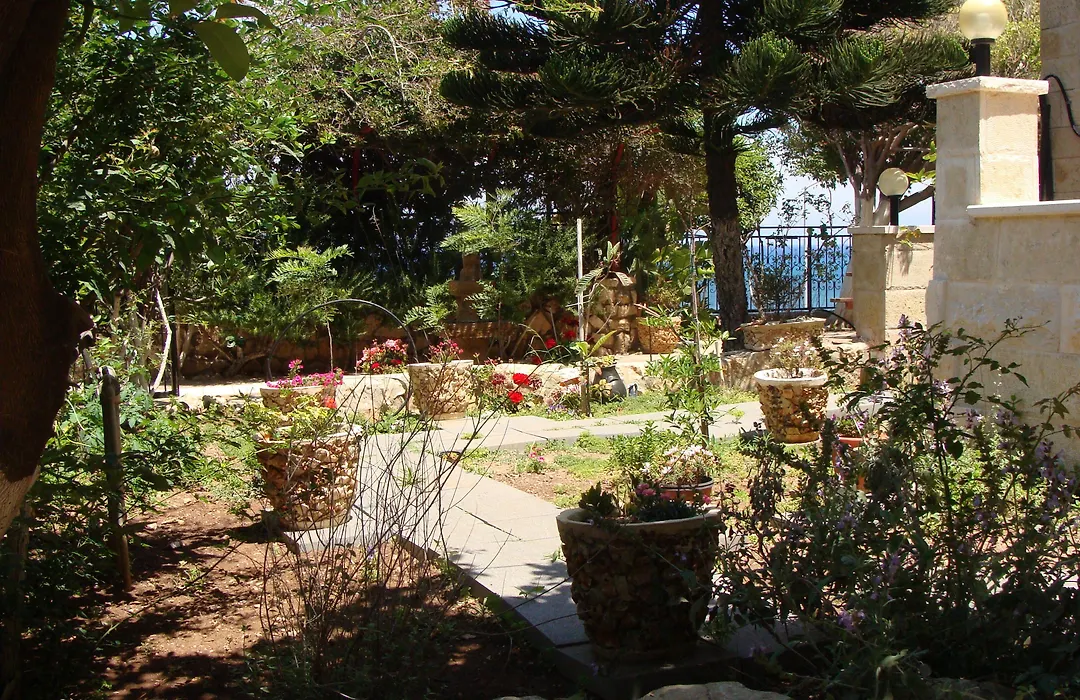 Tamer Guest House-1